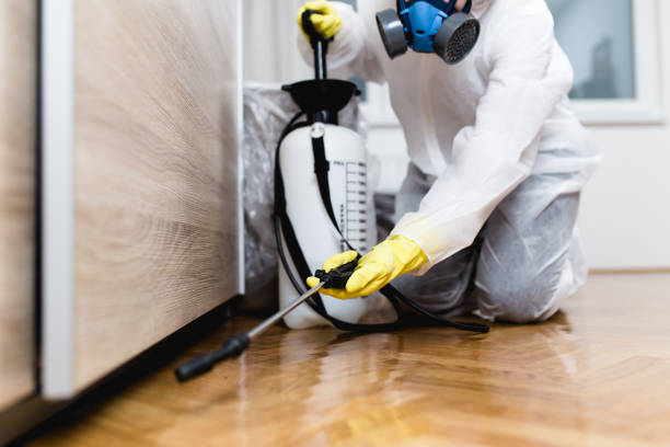 Best Pest Removal Services  in Calcutta, OH