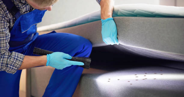 Best Insect Control  in Calcutta, OH