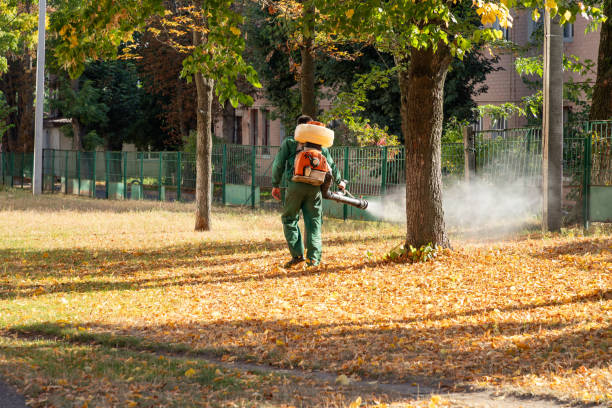 Best Residential Pest Control  in Calcutta, OH