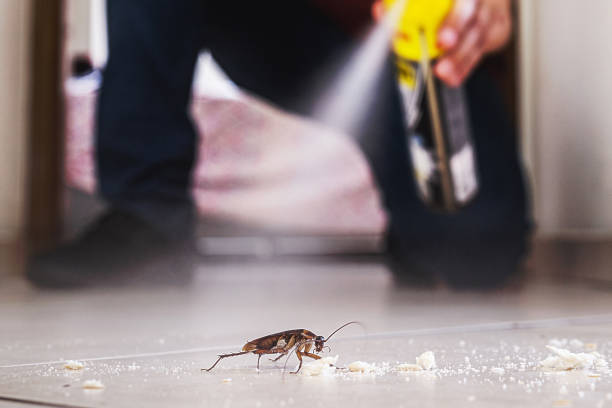 Pest Prevention Services in Calcutta, OH