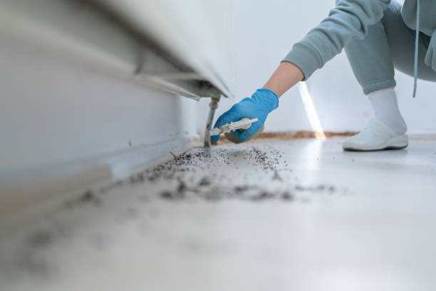 Best Emergency Pest Control  in Calcutta, OH